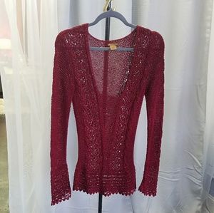Arden B garnet sweater
